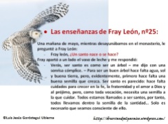 Las enseñanzas de Fray León nº25